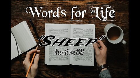 Words for Life: Sheep (Week 48)