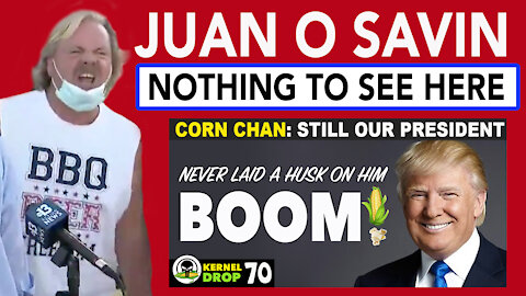 Juan O Savin on Election - NOTHING TO SEE HERE