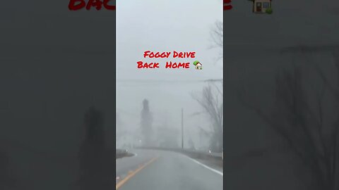 Foggy Drive Back Home #shorts