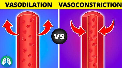 Vasoconstriction vs. Vasodilation *EXPLAINED*