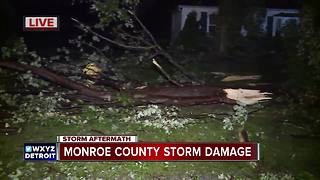 Storm damage in Frenchtown Township