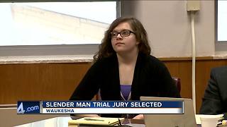 Jury picked to decide competency in Wisconsin Slender Man stabbing case