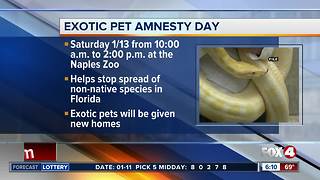 Exotic Pet Amnesty Day set for January 13 in Naples