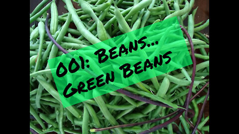 001: Beans... Green Beans