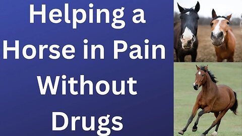The Secret to Reducing Pain in Horses: Lifewave Aculife Patch Demonstration