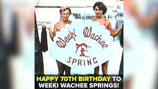 Weeki Wachee Springs celebrates 70 years | Taste and See Tampa Bay