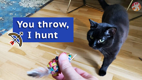 Vilma Cat: You Throw, I Hunt