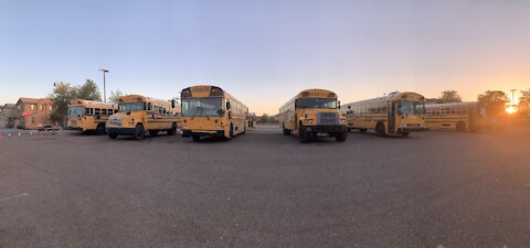 A bunch of older school buses!