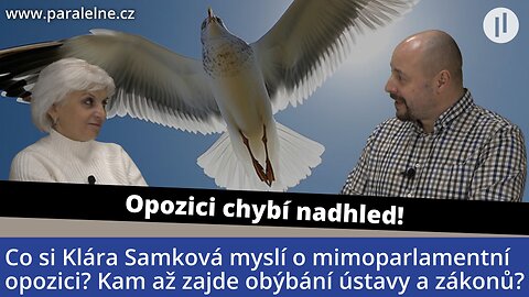 Mimoparlamentní politická alternativa prakticky neexistuje. Schází nám osobnosti. | Klára Samková