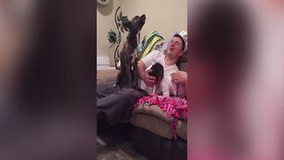 Funny Dog Howls At Fake Phone Ringing