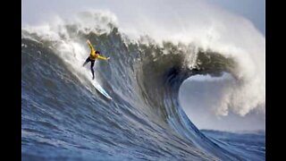 Surfer utfordrer de vanvittig store bølgene i Nazaré