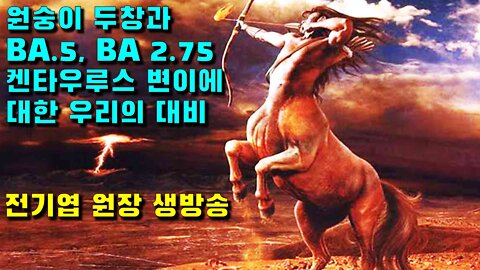 코로나 켄타우로스 변이 BA.2.75 증상 면역회피력 재확산 대응책