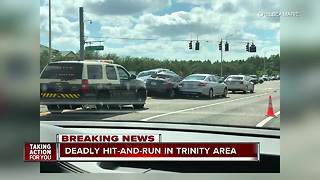 Fatal hit-and-run crash under investigation in Pasco County