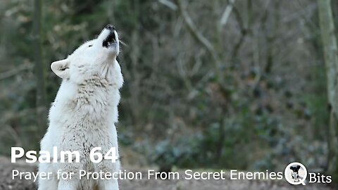 PSALM 064 // PRAYER FOR PROTECTION FROM SECRET ENEMIES