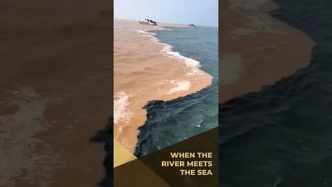 When the River Meets the Sea ☺️ #shorts #Funny trending