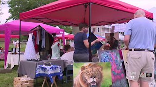 Art Garden KC highlights local artists