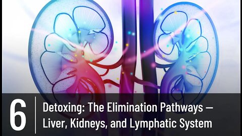 Episode 6 - Detoxing: The Elimination Pathways - Liver, Kidneys & Lymphatic System