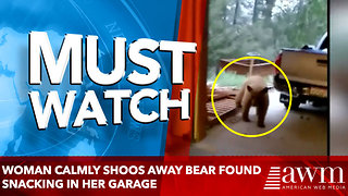 Woman Calmly Shoos Away Bear Found Snacking in Her Garage: 'You Can't Have It!'