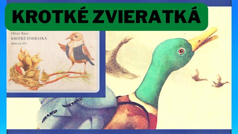 Krotké zvieratká | rozprávka na počúvanie | audiorozprávka | Oliver Rácz | SafireDream