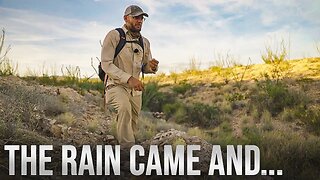 Our "Rocks" After a Heavy Desert Rain