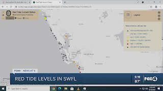 Red Tide levels in Southwest Florida