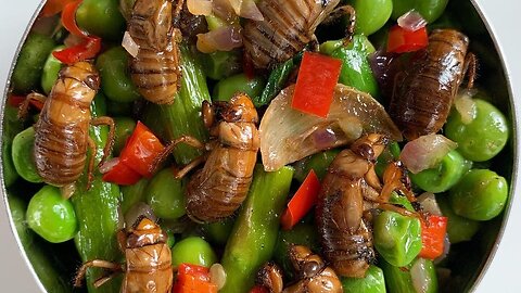 CICADA SALAD AND INSECT WITCHCRAFT