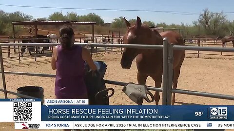 Local horse rescue ranch feeling impacts of inflation