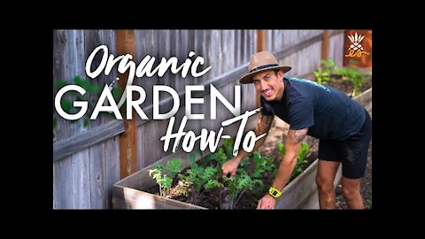 How To Grow Your Own Organic Garden