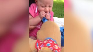 Baby Girl Bites On Her Puppy Toy