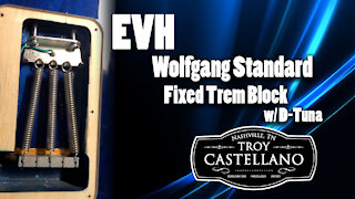 Simple EVH WG Standard Trem Block Using D-Tuna