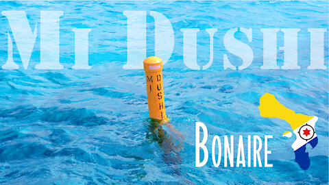 Diving Mi Dushi on Bonaire