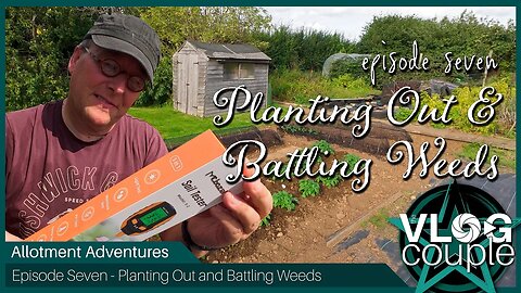 Allotment Adventures Episode 7 - Planting out and battling the weeds