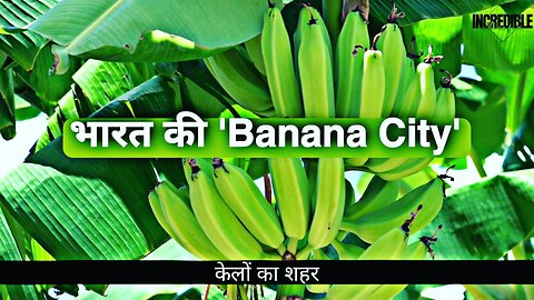 Do you know which city of India is also known as 'Banana City?