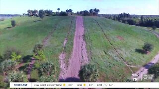 Walking Club: Exploring Celery Fields in Sarasota County