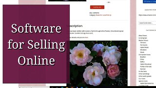 Software for Selling Online