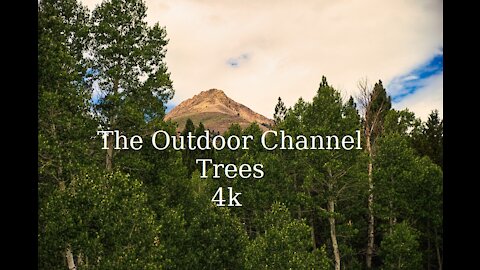 The Outdoor Channel, Relaxing with the Trees