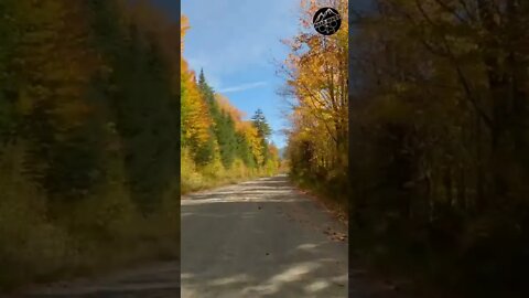 My bike ride down a country road to see the fall foliage in New Hampshire this year (2022) #shorts