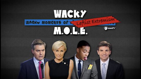 Media Scream Sexism, Racism and Threaten To Tie You Up If You Disagree With Them – Wacky MOLE