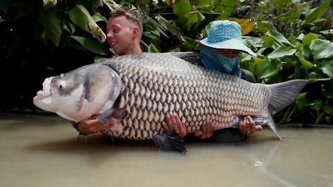 Giant fresh water fishing NEW RECORD Arapaima fishing
