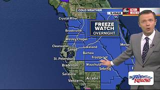 Freeze Watch issued for part of Tampa Bay