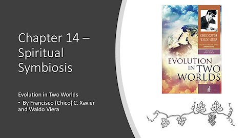 Evolution in Two Worlds – Chapter 14 – Spiritual Symbiosis