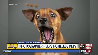 Photographer raising money for homeless pets to get new homes