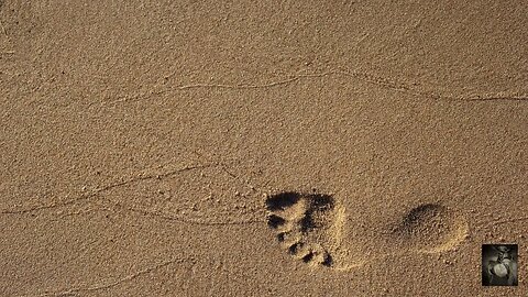 Walking on Sand. #whitenoise Sounds that can help with relaxing and more. #asmr