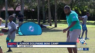 Junior Dolphins Mini Camp