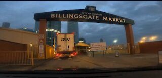 Going to Billingsgate Market Canary Wharf to buy Fresh Fishes