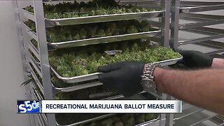 New group proposing recreational marijuana files paperwork for November 2020 ballot