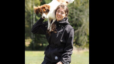 Puppy training Guide - BASICS #trainingguide #puppy #puppytraining #basicspuppy