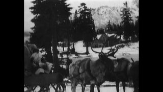 Santa Trains New Reindeer