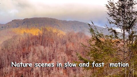 Nature scenes in slow and fast motion