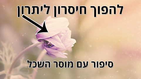 המשל החכם הזה יכול לשנות לכם את נקודת המבט על החיים...